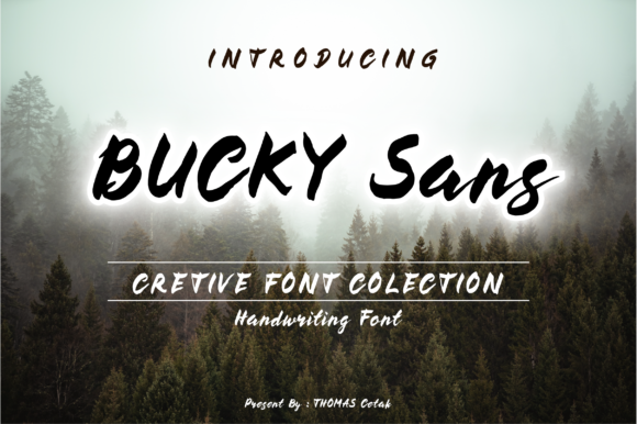 Bucky Font: Your Practical Partner for Authentic Branding