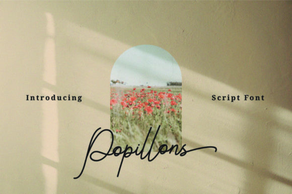 Popillons: A Charming Script for Creative Projects
