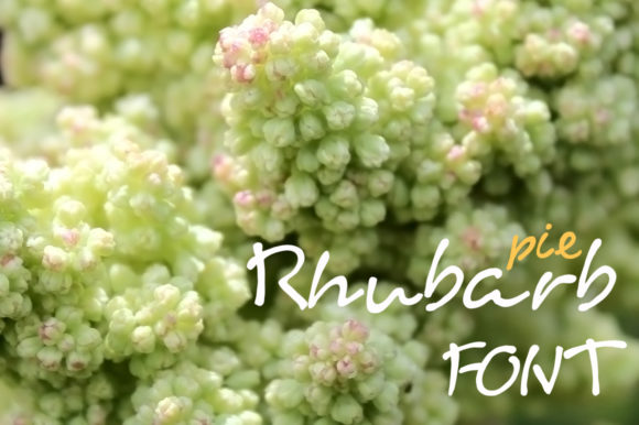 Rhubarb Pie: A Whimsical Font for Engaging Brand Content
