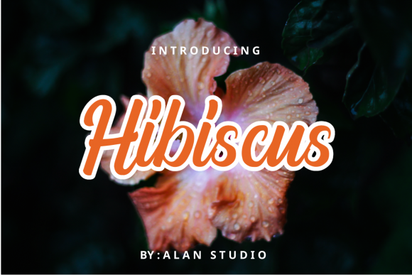 Transform Your Brand with Hibiscus: A Sweet and Versatile Font